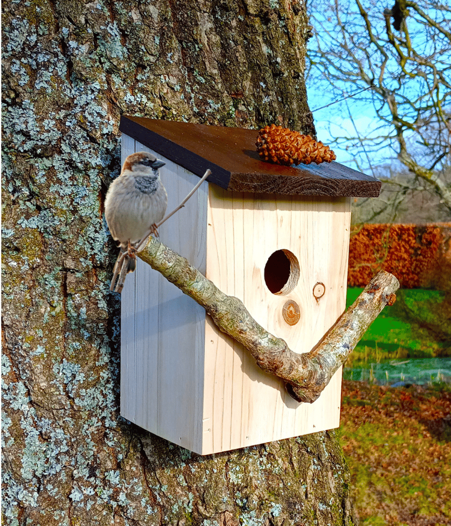 Garden Bird House with Look-Out Perch
