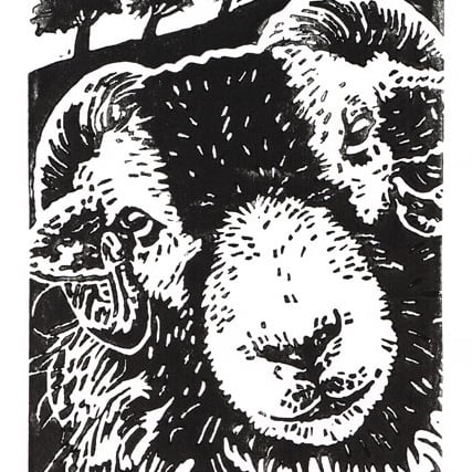 Swaledale Sheep - Original Hand Pulled Linocut Print