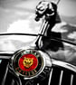 Jaguar Leaper Leaping Cat Photograph Print - Image 1