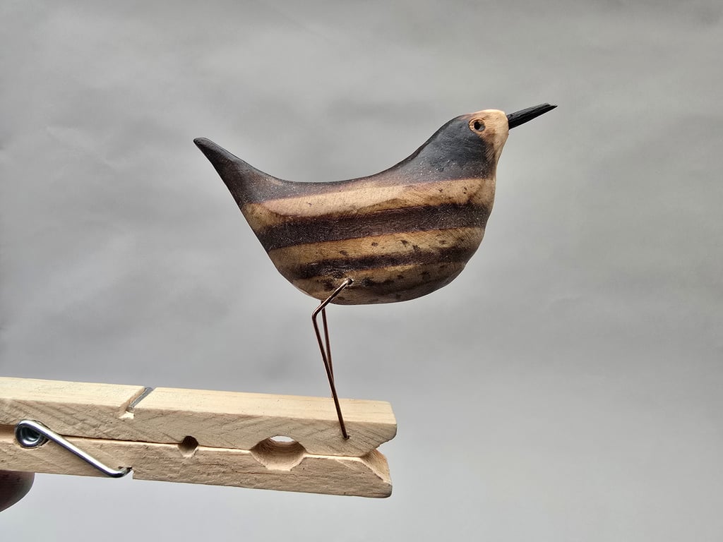 Pecking peg bird