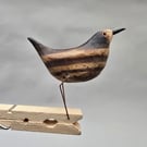 Pecking peg bird