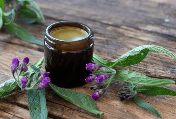 Comfrey 60 ml