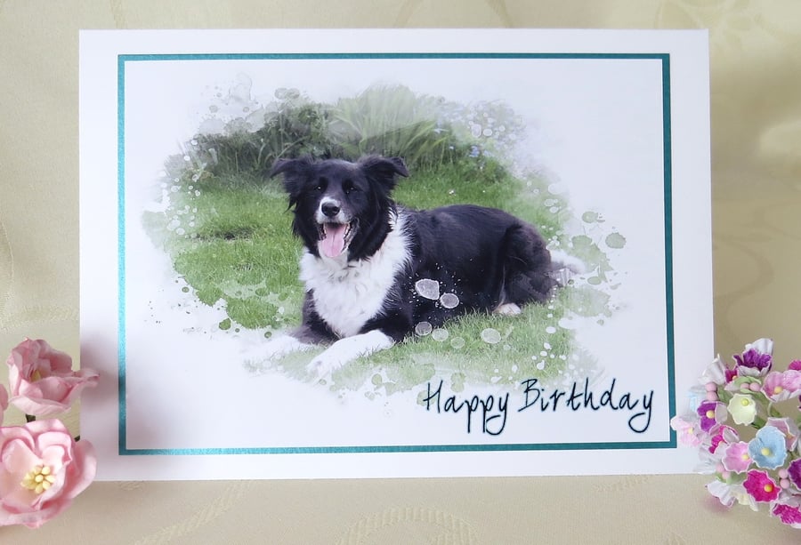 Border Collie Greeting Card - Troy