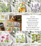Art Card Collection - Essential Oil Series - Complete Set of 6 - Lavender, Berga
