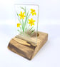 Fused Glass  Daffodils in a Handcrafted Spalted Wood Tea Light Holder - Image 1