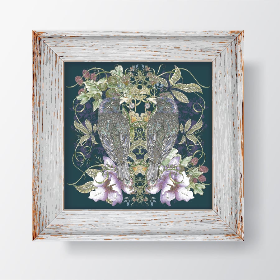 Natural World Starlings  Art Print 12 x 12” (unframed)