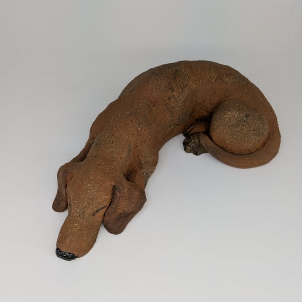 Large Sleeping Dachshund