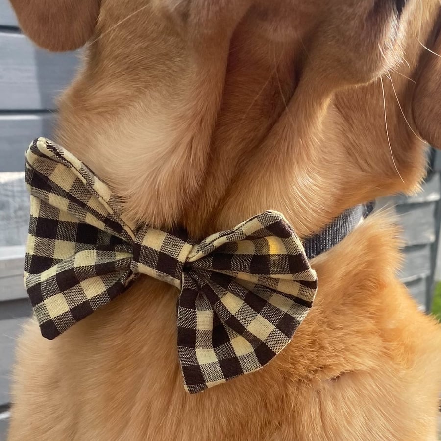 Image of  Dog Bow. Check Print. 