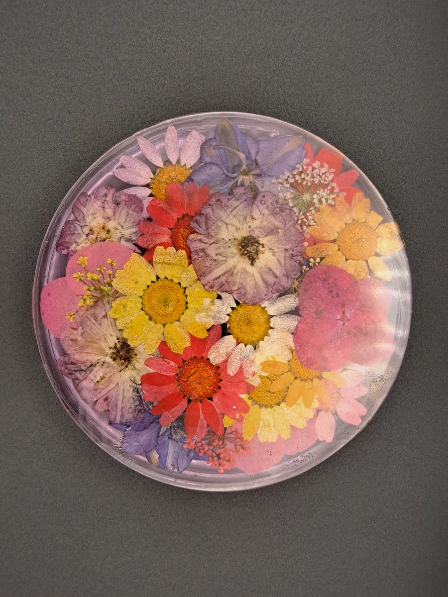 Dried mixed flowers round coaster 