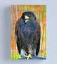 Harris Hawk Bird Of Prey Photograph Print - Image 6