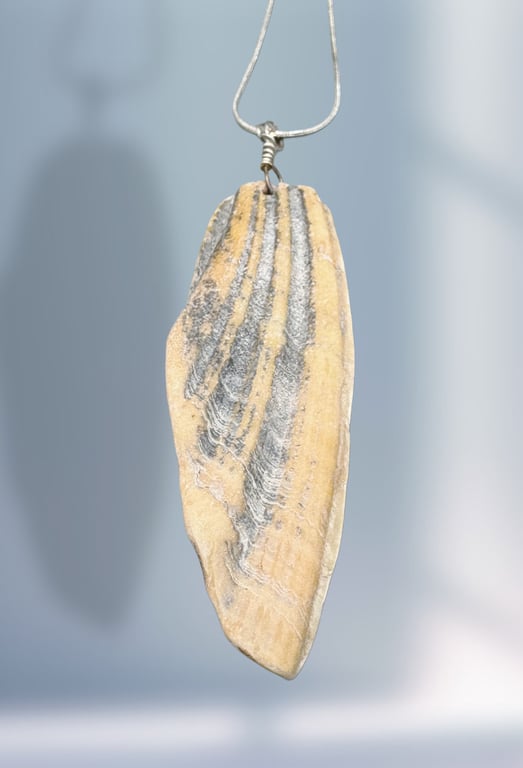 Statement shell necklace 