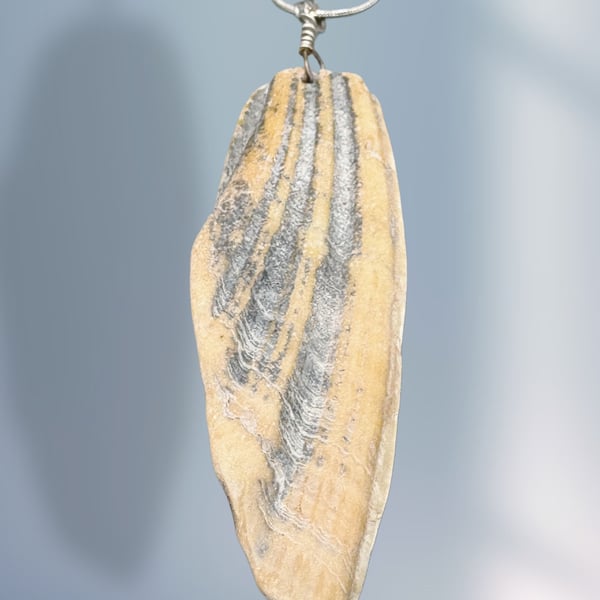 Statement shell necklace 