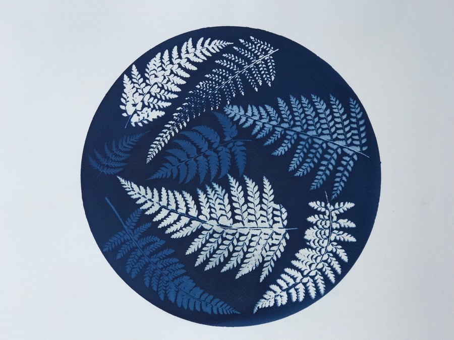 Original Art, Framed Art, Botanical Art, Art as a gift.