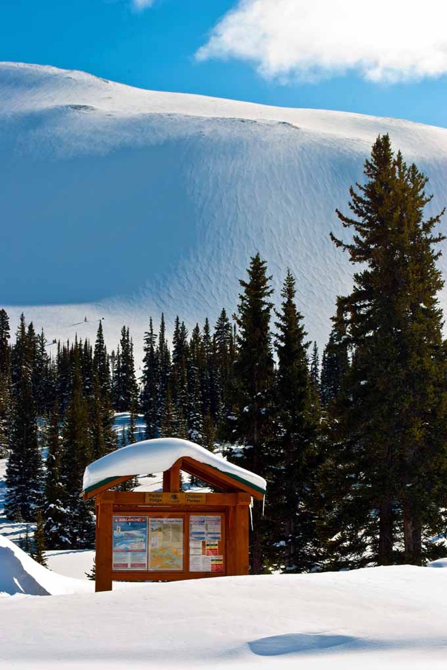 Canadian Rocky Mountains Icefields Parkway Canada Photograph Print