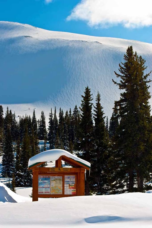 Canadian Rocky Mountains Icefields Parkway Canada Photograph Print