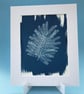 Botanical Art, Mimosa print Cyanotype, art for home, art as a gift. - Image 6