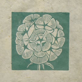 Scabious seed head mini linocut print