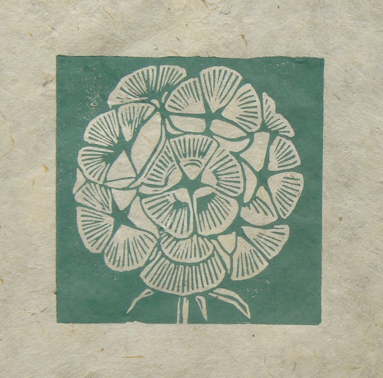 Scabious seed head mini linocut print