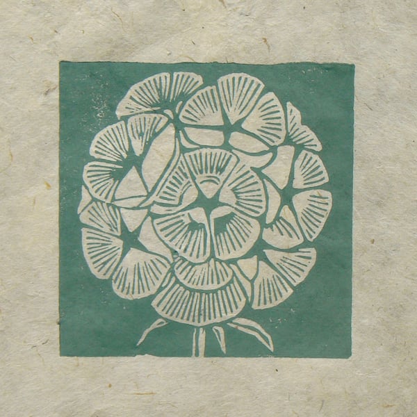 Scabious seed head mini linocut print