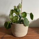 'Fifi' Rope Plant Holder