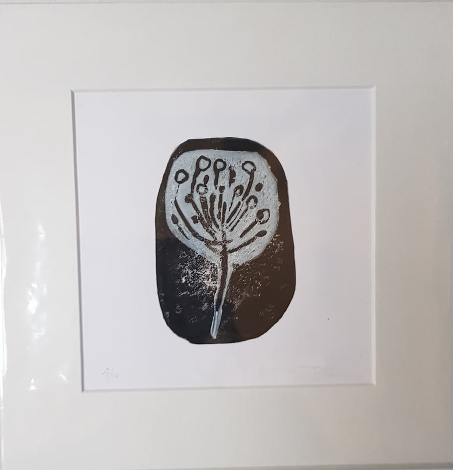 Seedheads, Hand printed Linocut
