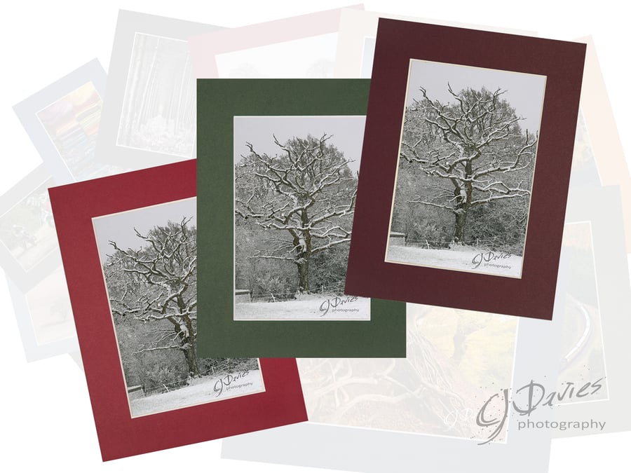 CJ094 - Christmas card: Winter tree