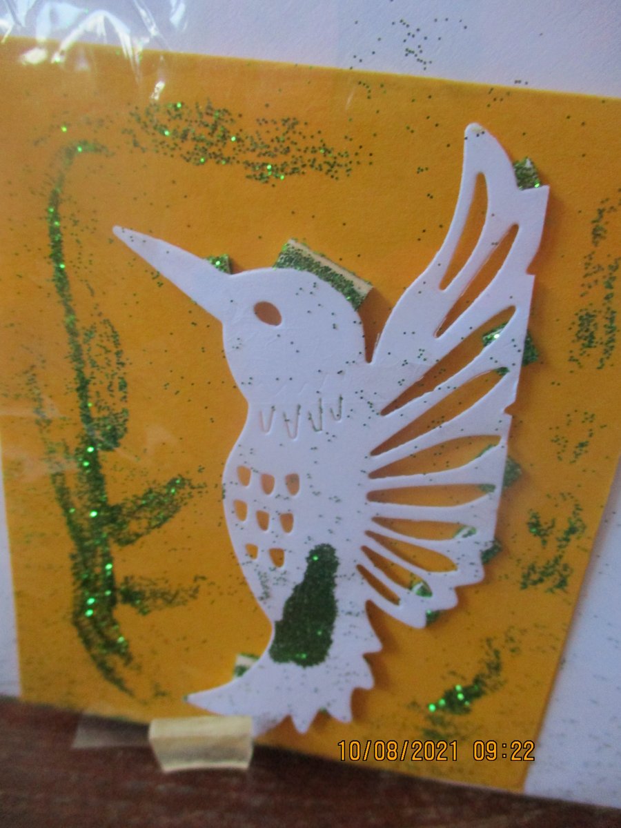 Bird Card