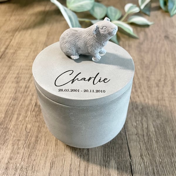Small personalised concrete Guinea pig urn