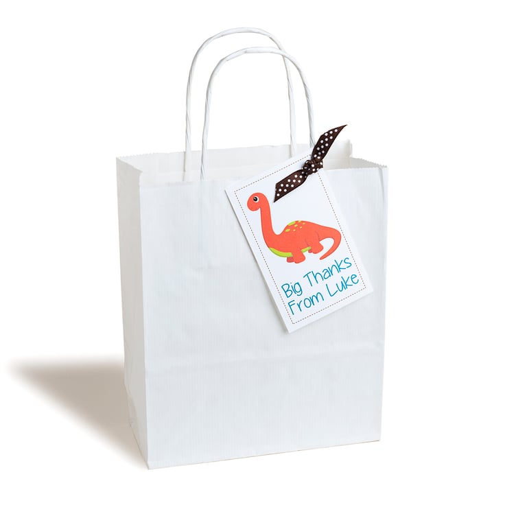 Personalised Dinosaur Party Bags - pack of 6