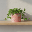 Large Plant Pot - Sunrise Marbled Red Orange and Yellow Pot Holder 