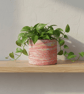 Large Plant Pot - Sunrise Marbled Red Orange and Yellow Pot Holder 