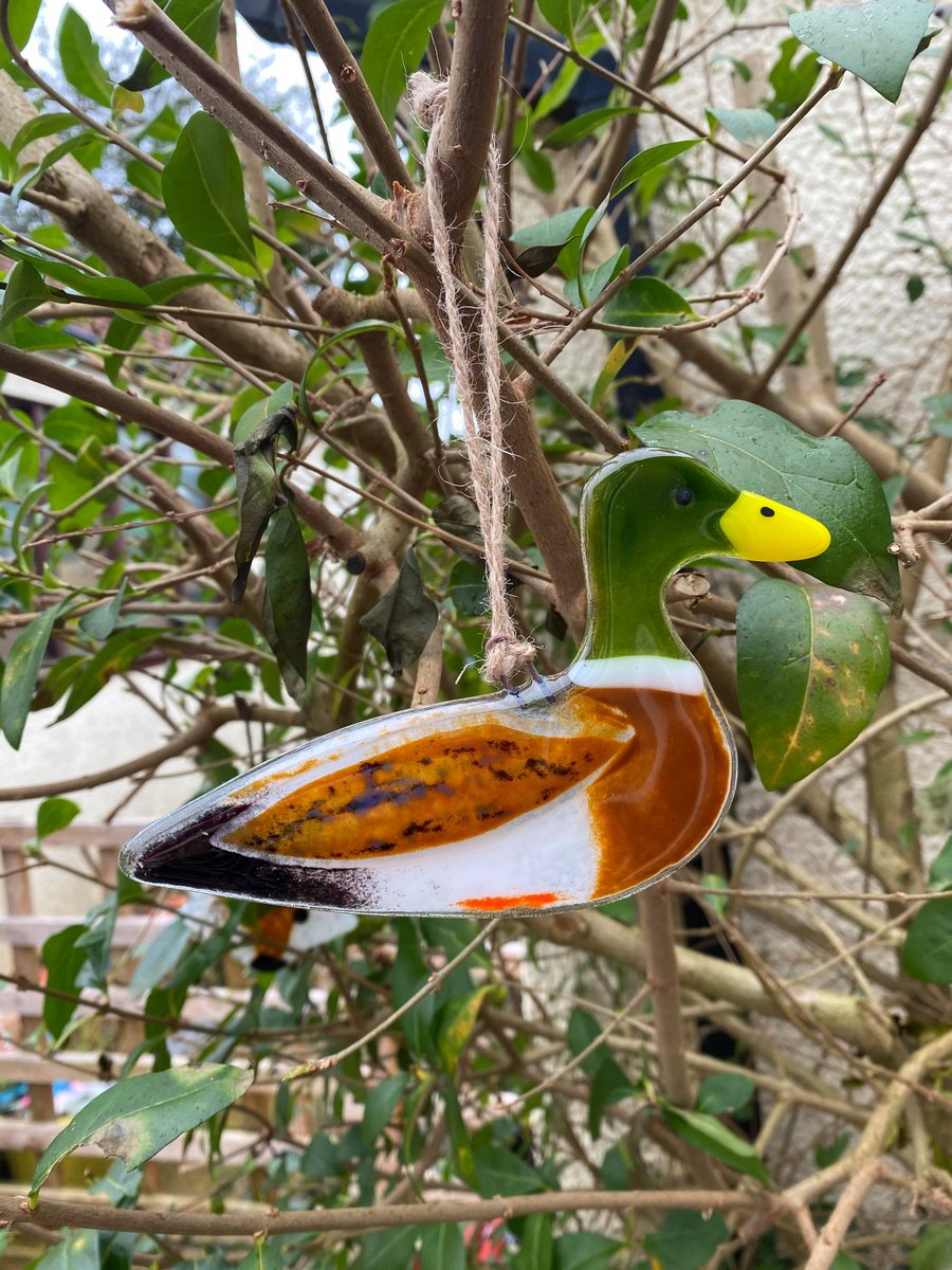Fused Glass Birds, MALLARD DUCK bird lover gift, British bird, hanging bird