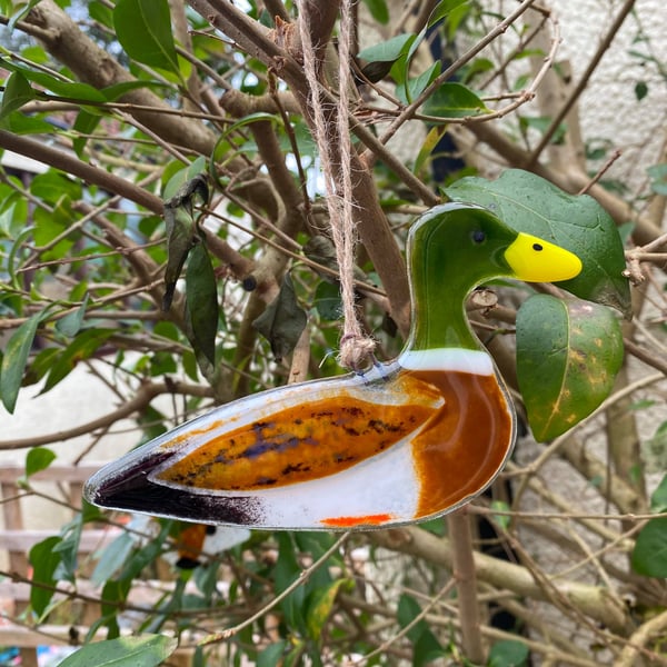 Fused Glass Birds, MALLARD DUCK bird lover gift, British bird, hanging bird