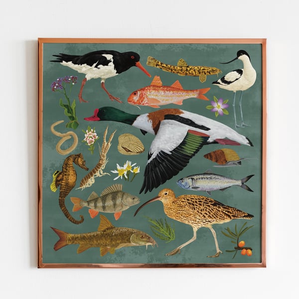 Estuary wildlife print, Bird lover, Duck illustration, Fish art, Nature poster