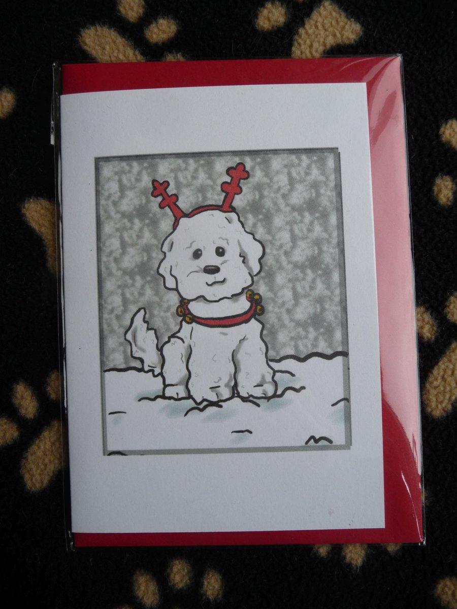 Bichon Frise Christmas Card 