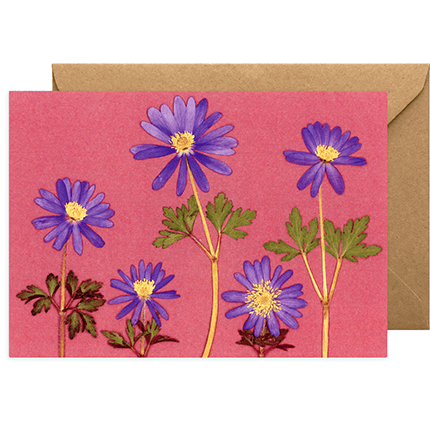 Any Occasion Pressed Flower Print Greeting Card - Anemones