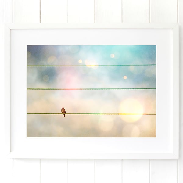 Bird on a wire print, pastel bedroom wall art, dreamy nursery art bird gift