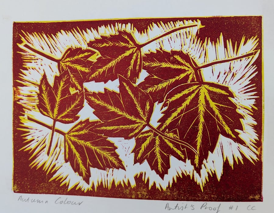 Autumn Colour