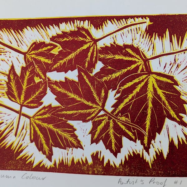 Autumn Colour