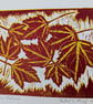 Autumn Colour - Image 1
