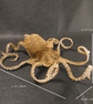 Realistic Octopus - Image 2