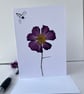 Handmade Real Pressed Flower Cosmos and Bee Greeting Card - Image 3