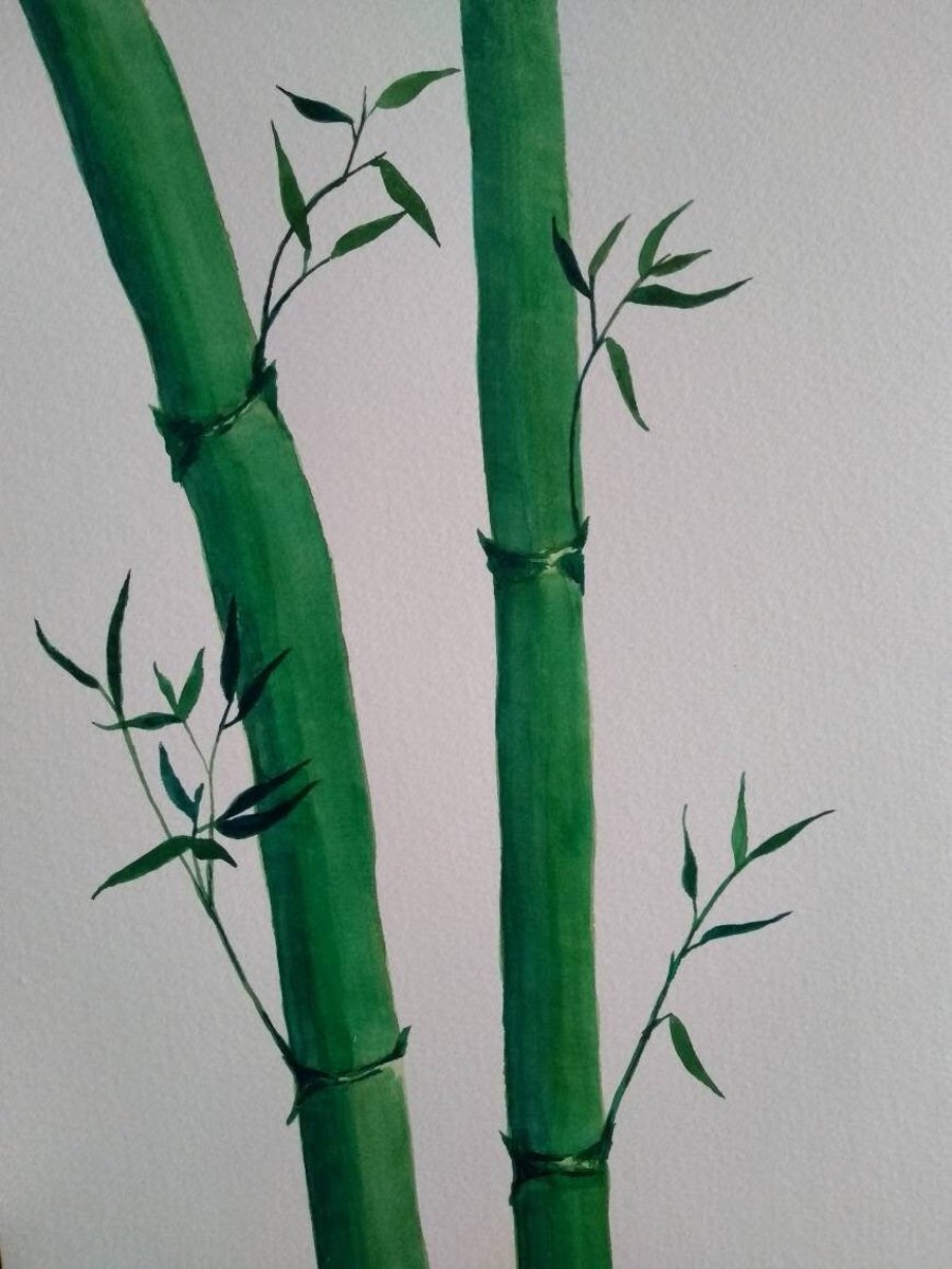 Original watercolour Bamboo painting A4 