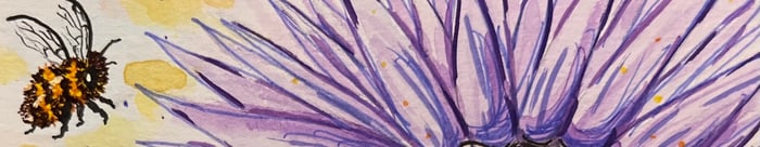 MioFi Art