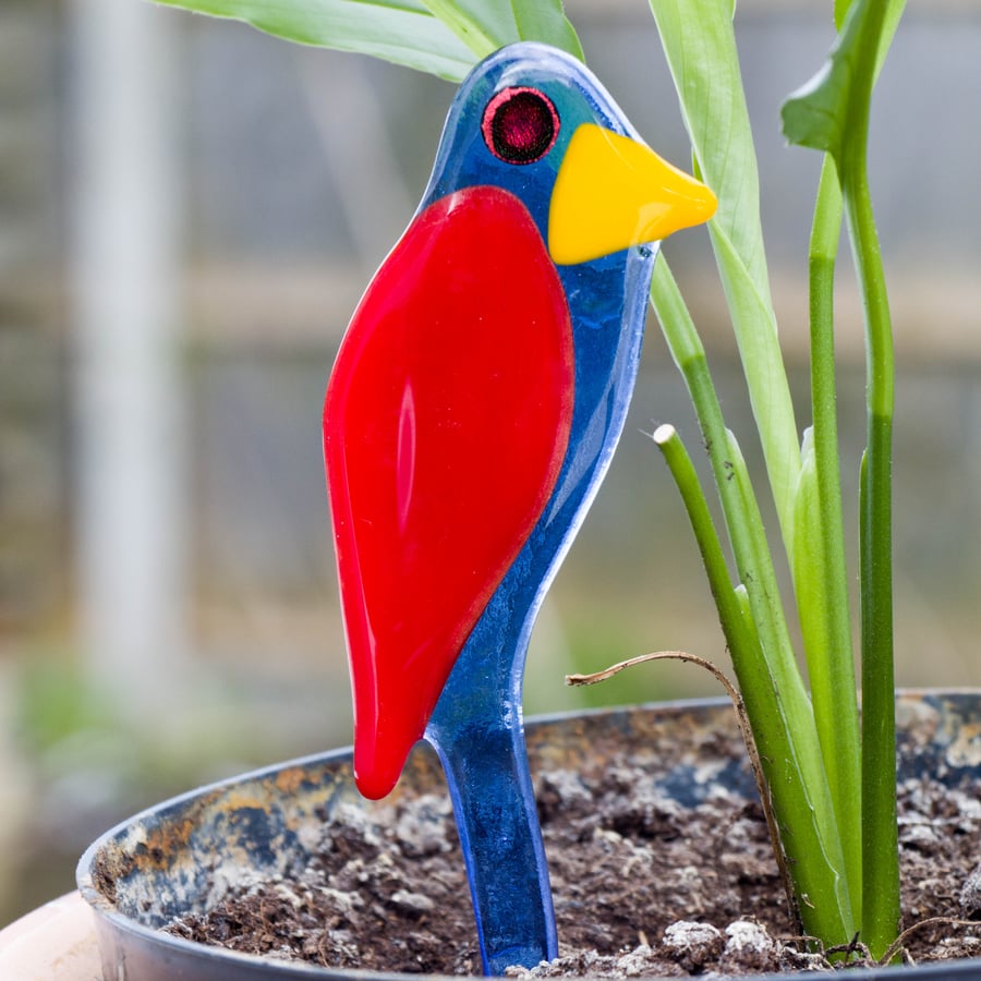 Red and Translucent Blue Pot Parrot in Fused Glass - 6098