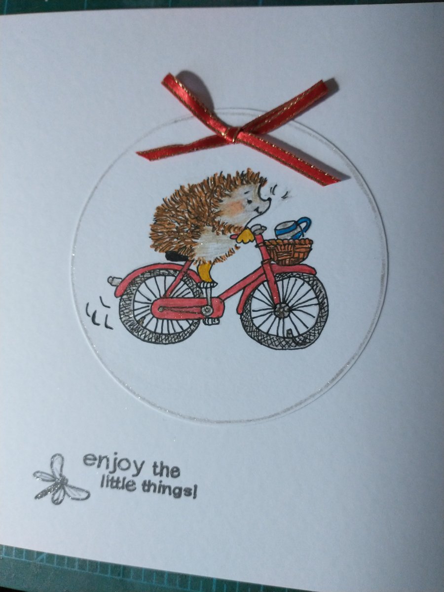 Cute hedgehog on bike birthday card 