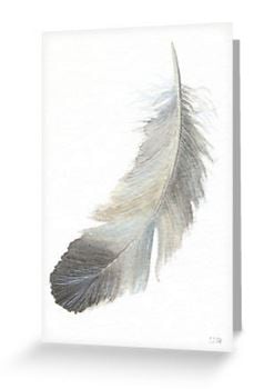 Feather blank greeting card from a watercolour painting