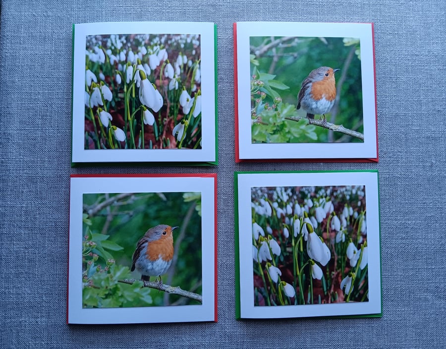 Small Square Snowdrops and Robin Photographic Cards 5" x 5" Pack of 4 Blank