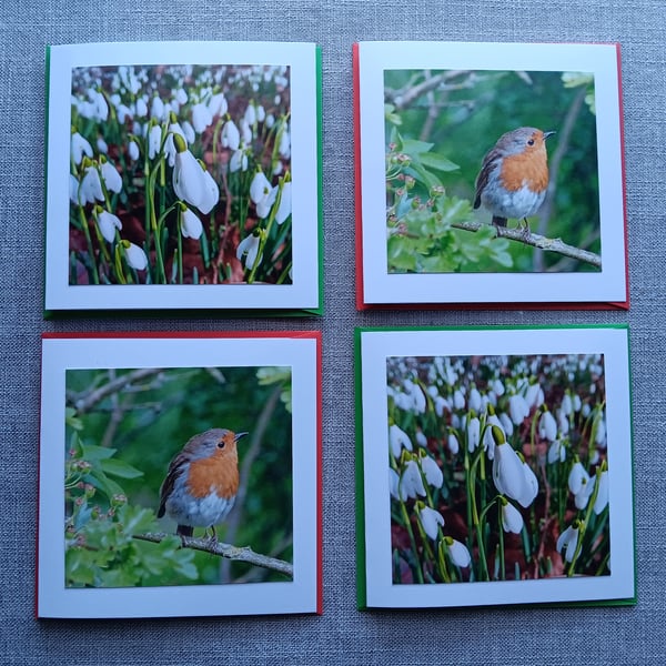 Small Square Snowdrops and Robin Photographic Cards 5" x 5" Pack of 4 Blank