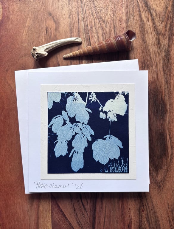Horse Chestnut - Cyanotype Card with envelope
